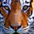 Rebecca Miller's profile image