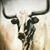 Matthew McDaniel's profile image