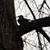 Catalina Gerner's profile image