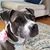 Donna Rotola's profile image