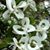 Wanda Flessner's profile image