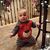 Melissa Limbach's profile image