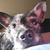 Julie Kay Baker's profile image