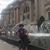 Shannyn Burzese's profile image