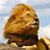 Valbert Valy Williams Morgan's profile image