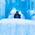 Tracy Morison Rogers's profile image