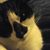 Kathy Pekaar Sheppard's profile image
