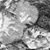 Jackie Dalija's profile image