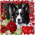 Michelle Babcock McLaughlin's profile image