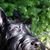 Ellen Pyeatt's profile image