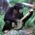 Tom Quinn's profile image