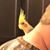 Erin Stokes Ketron's profile image