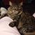 Martha Bruce Beard's profile image