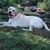 George R. Fusner's profile image
