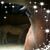 Lisa Davis Beote's profile image