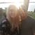 Maria Berhow Kottke's profile image