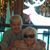 Virginia Alver's profile image