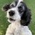 Deborah Kelly-Hoehn's profile image