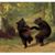 Cyndi Buck's profile image