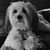 Deborah Mason's profile image