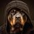 Michael Cavender's profile image