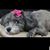 Deb Bartholomew Mortiere's profile image