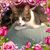 Barbara Kirkland Quezada's profile image
