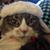 Allan Bilbrey's profile image
