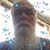 Reynold Foster's profile image