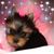 Anita Louise Porter's profile image