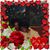 Sheena Williams's profile image