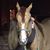 Kim Ganus Walters's profile image