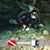 Darrell Adams's profile image
