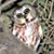 Sheila Stepp's profile image