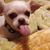 Kathy Hall's profile image