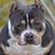 Mary Bowden-Evans's profile image