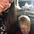 Haley Shaffer's profile image