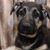 Carri Settle Reiser's profile image