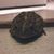 Jennifer Yost's profile image