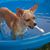 Cindy Wacek's profile image