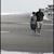 Annemarie Iseminger's profile image