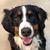 Linda Albert Huss's profile image