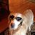 Cathie Keller Andress's profile image