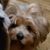 Kristina Sarver Ritchie's profile image
