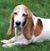 Keith Haemig's profile image