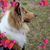 Judith Love's profile image