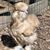 CherylnDavid Baker's profile image