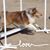 Lisa Castelan-Svette's profile image