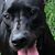 David Vail's profile image
