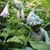 Dawn Marie Cox's profile image